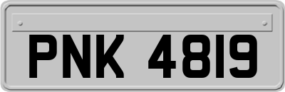 PNK4819