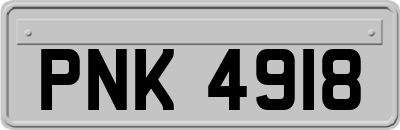 PNK4918
