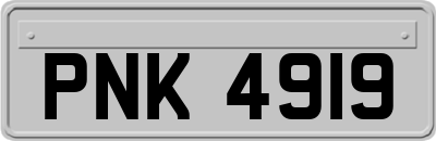 PNK4919