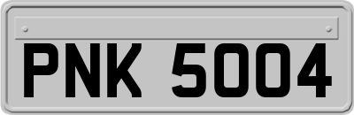 PNK5004
