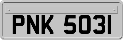 PNK5031