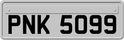PNK5099
