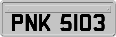 PNK5103