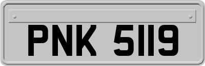 PNK5119