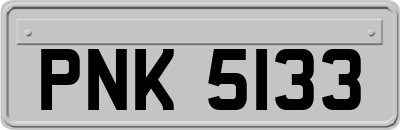 PNK5133