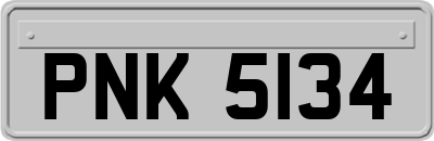 PNK5134