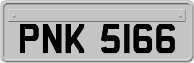 PNK5166