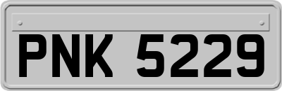PNK5229