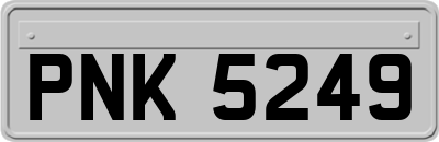 PNK5249
