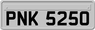 PNK5250