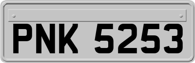 PNK5253