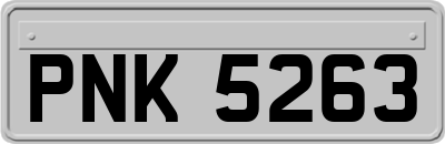 PNK5263