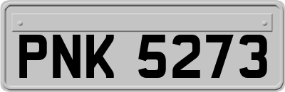 PNK5273