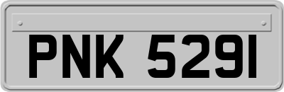PNK5291