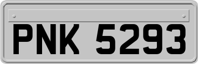 PNK5293