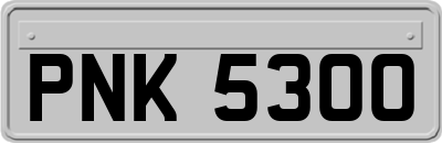 PNK5300