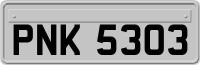 PNK5303