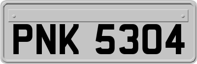PNK5304
