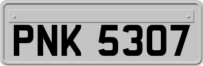 PNK5307