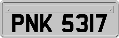 PNK5317