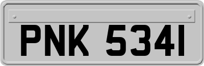 PNK5341