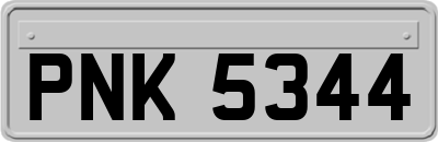 PNK5344