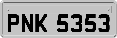 PNK5353