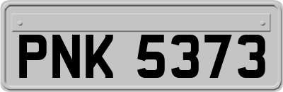 PNK5373