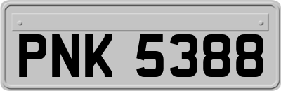 PNK5388