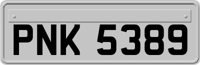 PNK5389