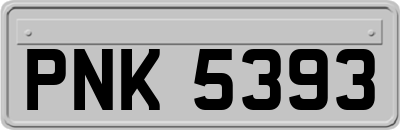 PNK5393