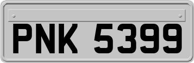 PNK5399