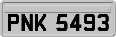 PNK5493