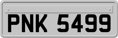 PNK5499