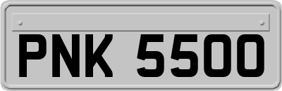 PNK5500