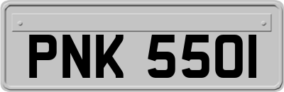 PNK5501
