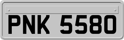 PNK5580