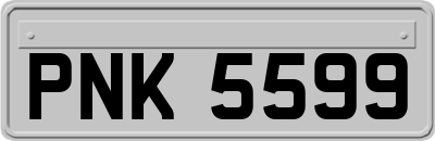 PNK5599