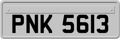 PNK5613