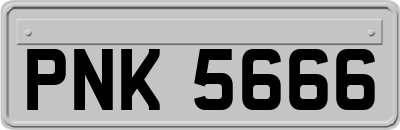 PNK5666