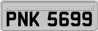 PNK5699