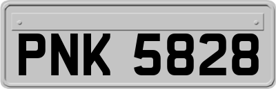 PNK5828