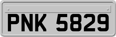 PNK5829