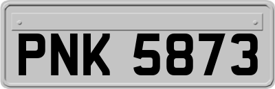 PNK5873