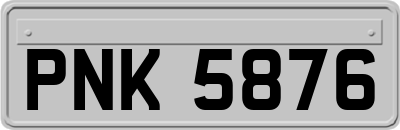 PNK5876