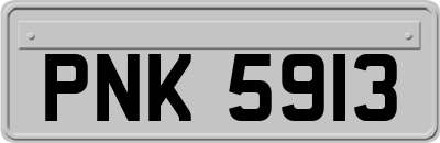 PNK5913
