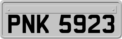 PNK5923