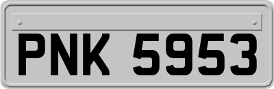 PNK5953