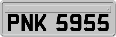 PNK5955