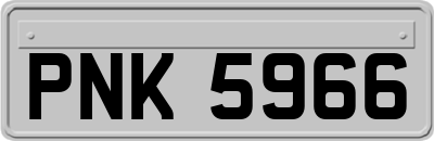 PNK5966